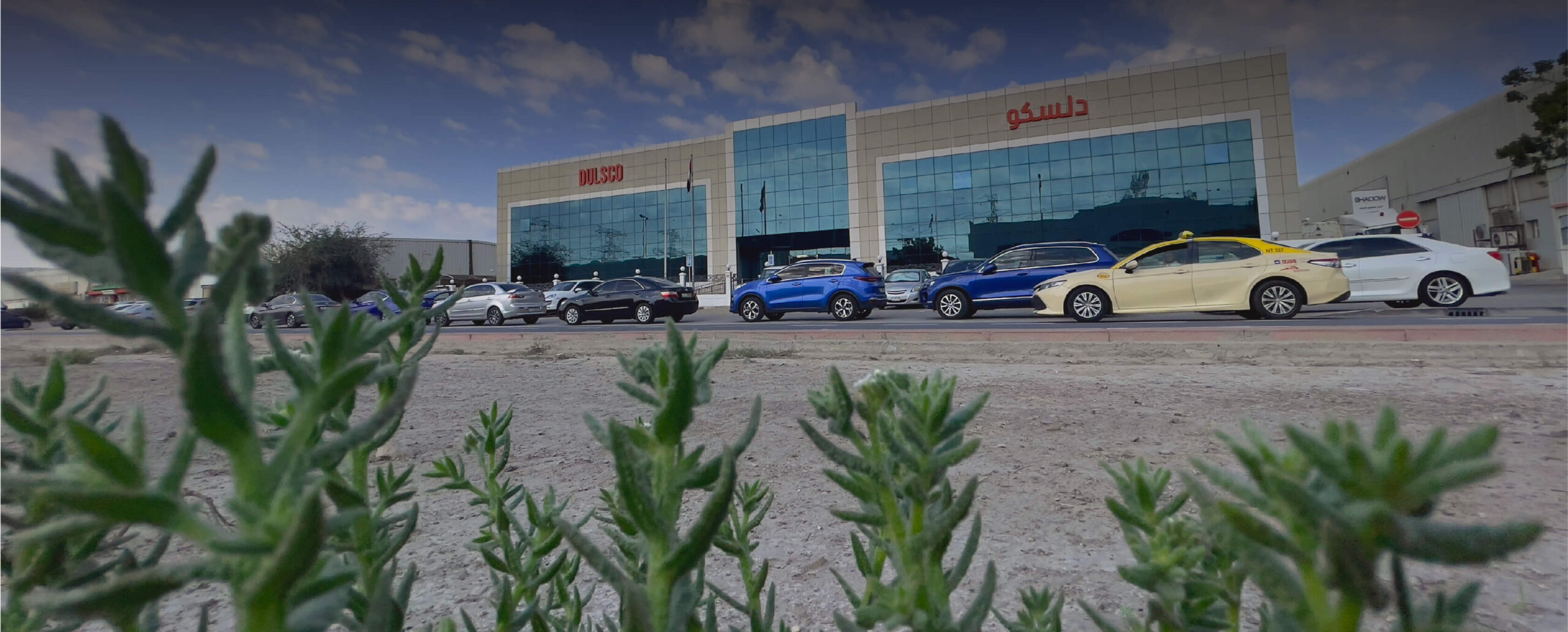Dulsco Group In UAE About Us